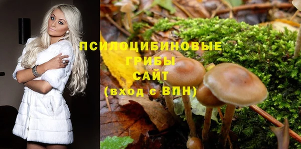 молекула духа Горнозаводск